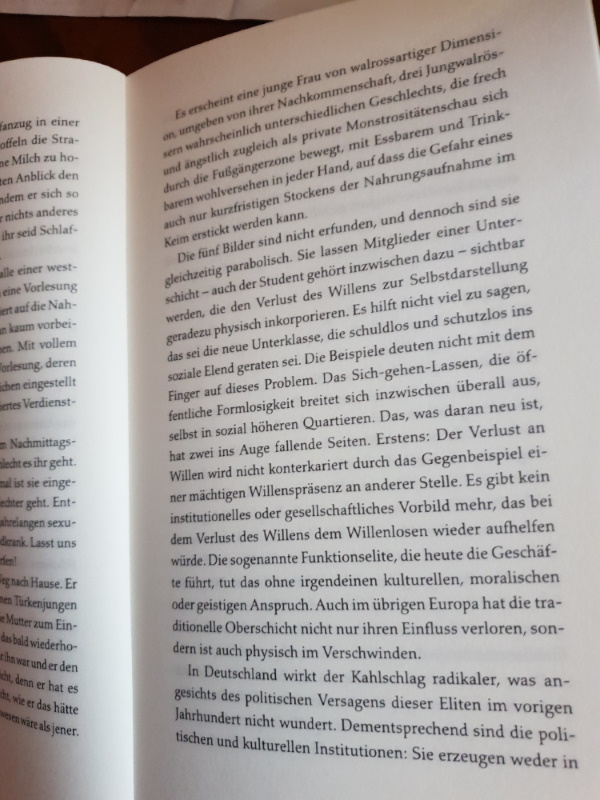 bohrer2.jpg